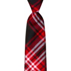 Tartan Tie - Tweedside Modern
